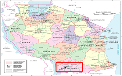 快讯｜坦桑尼亚松盖阿机场迎来了 不朽情缘官网人的身影！